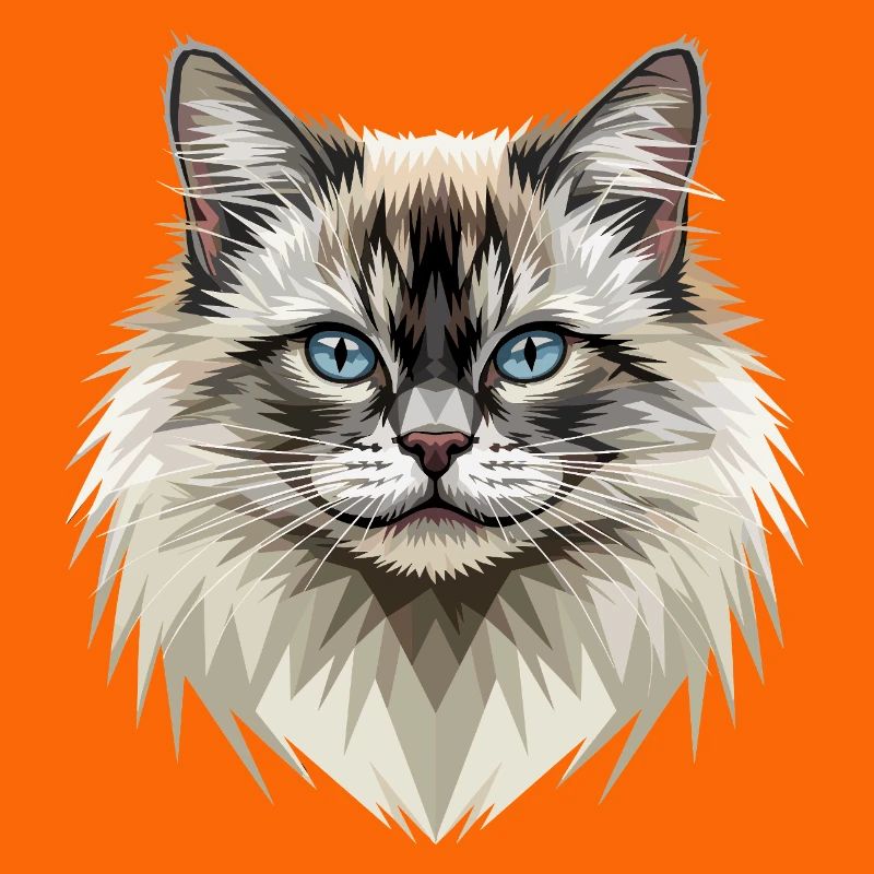 Chat Birman Chat Birman Sacré Chat Birman Mignons Chats Birman