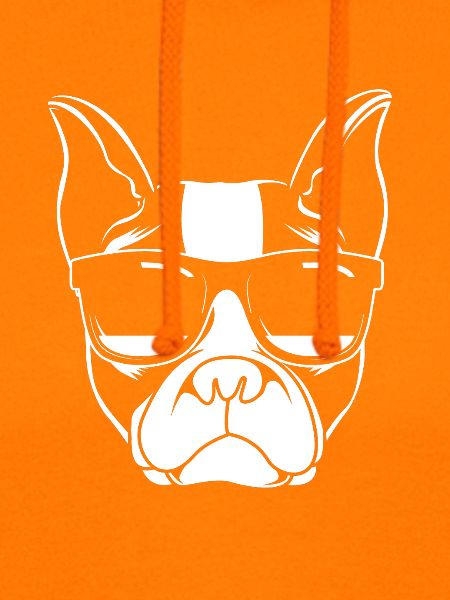 Boston Terrier