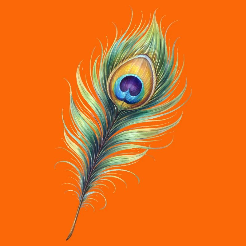 Peacock Feather Illustration Gradient Elegant