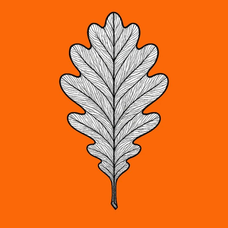 Monochromes Eichenblatt-Design
