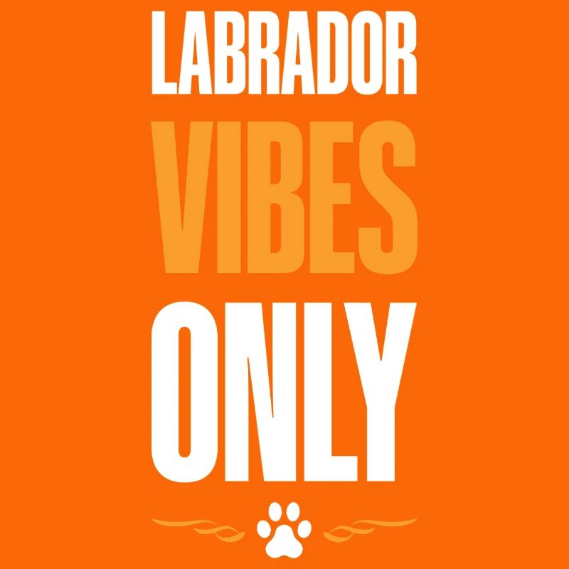 Labrador Vibes Only