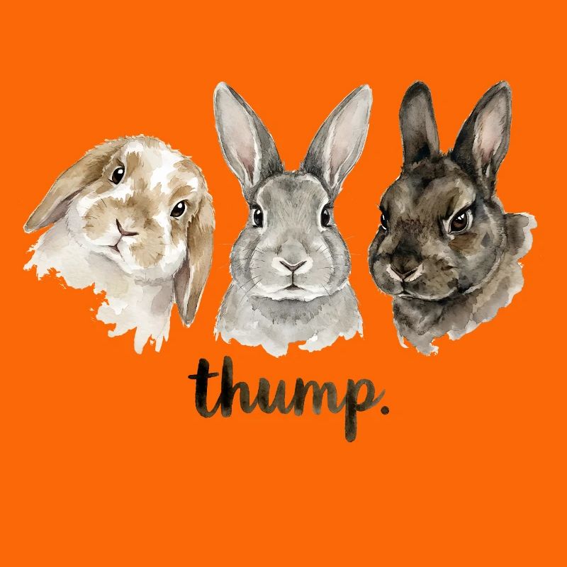 Fun rabbit knocking for rabbit lovers
