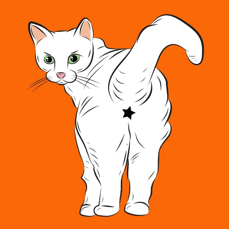 Weiße Katze mit Sternlogo