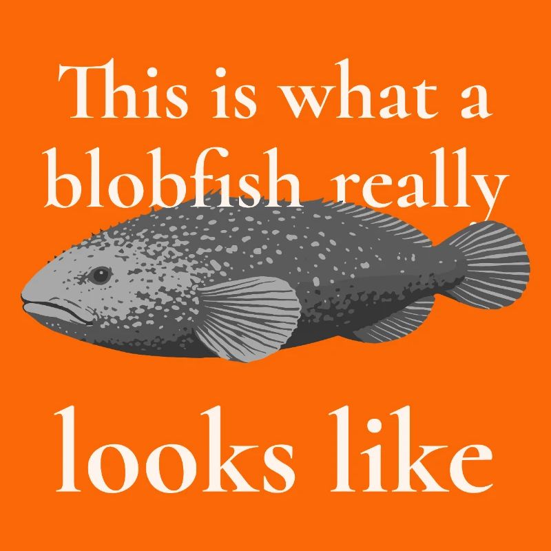 Blobfish Really Looks Like – Enlightenment Design