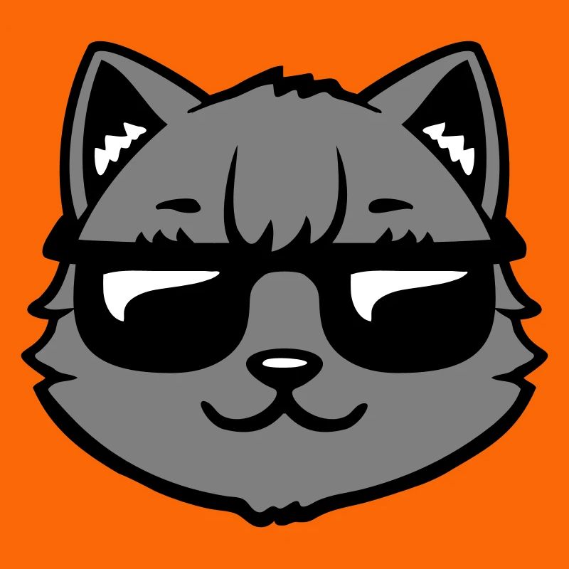 Lunettes de soleil gris chat Look cool style décontracté