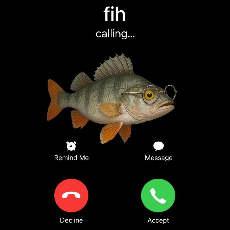 Fih Calling Remind me Message Decline Accept Phone