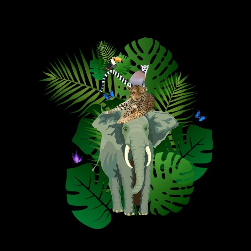 Dschungel Tiere Jungle Animals
