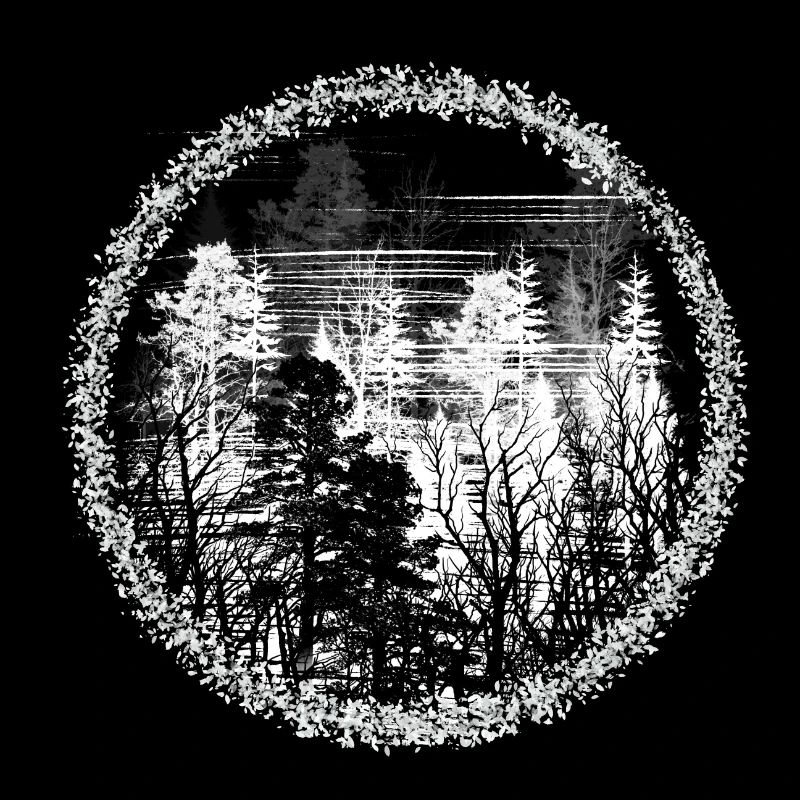 Cercle de la forêt Silhouette Paysage forestier