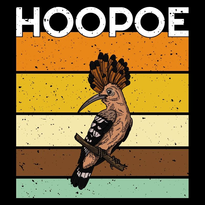 Hoopoe Ornithologue Observation des oiseaux Forêt