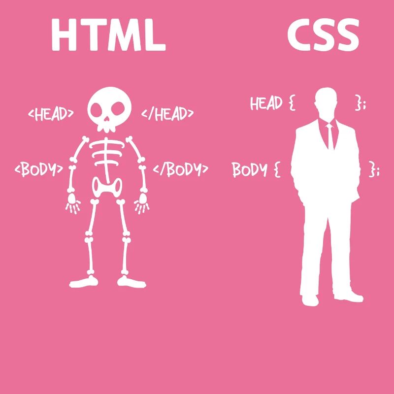 Code Css C++ Php Java Developer Code Skripting