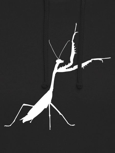 Praying mantis white