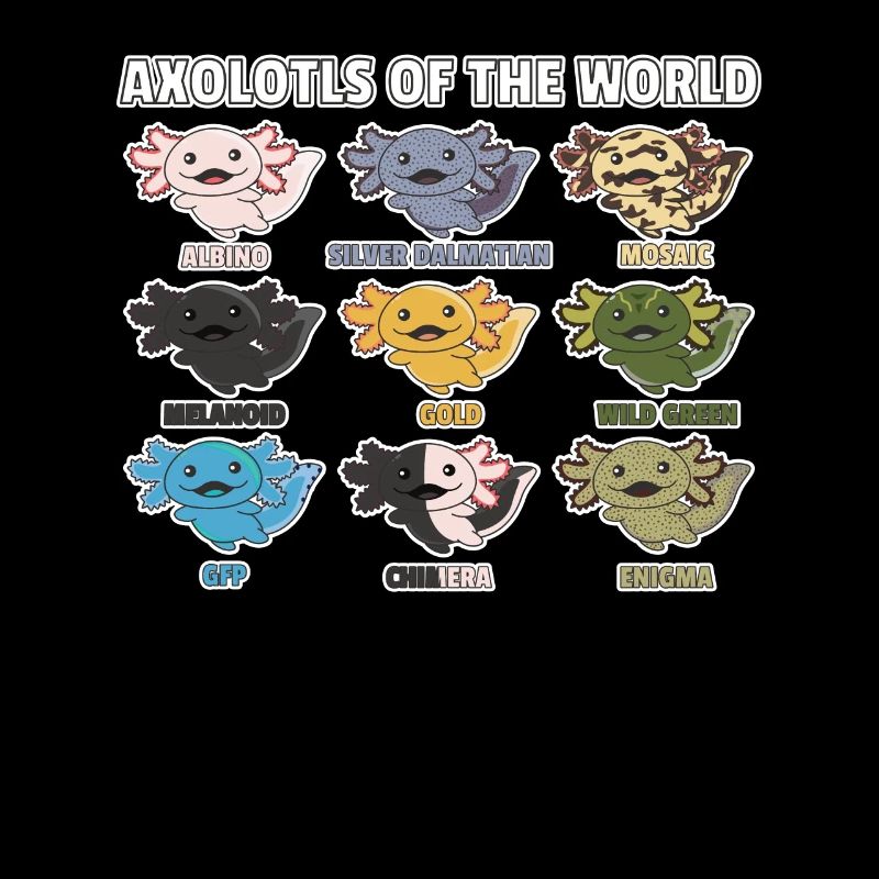 Axolotls du monde animaux doux Espèces d’Axolotl