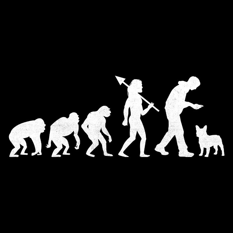 Evolution Bouledogue Français Frenchie Dog Lover Bulldo