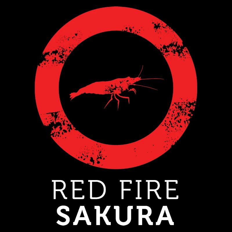 Idée de cadeau de crevette d'eau douce Sakura Red Fire