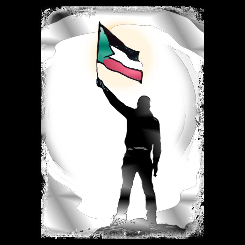 Palestine Drapeau Vies Comptent P9