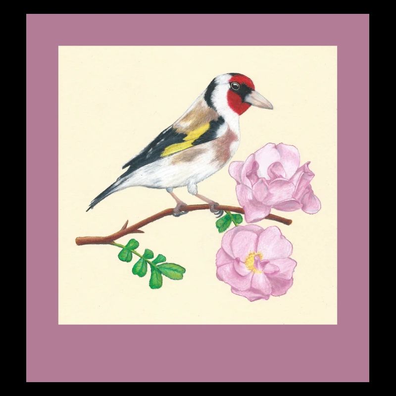 240102 Oiseau 3