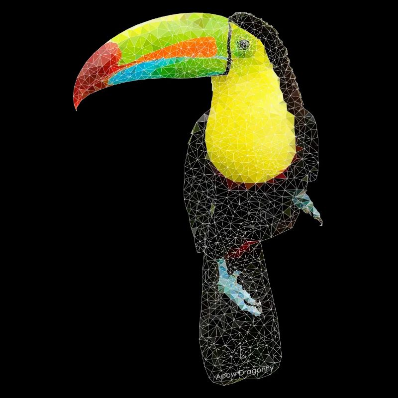Oiseau ~ le Toucan
