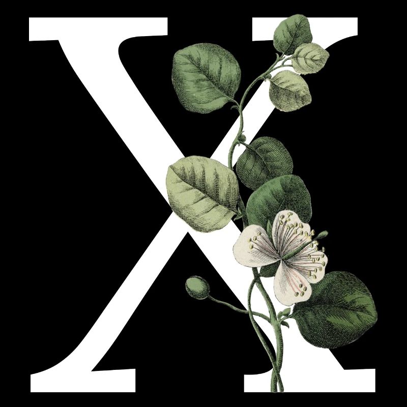Buchstabe X Grüne Botanik