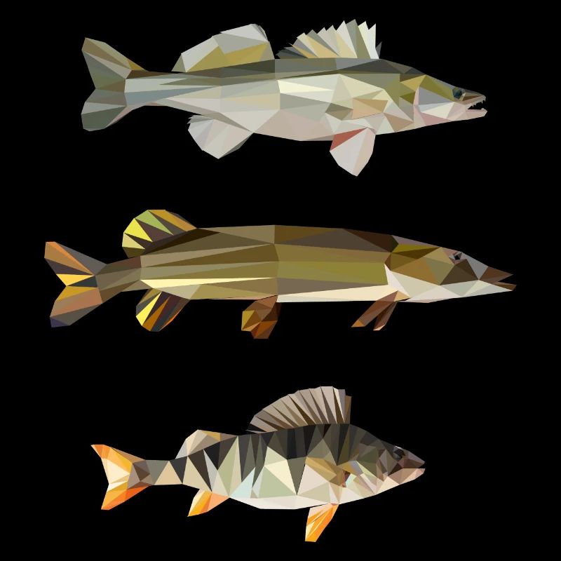 zander hecht barsch perchpike pike perch angeln