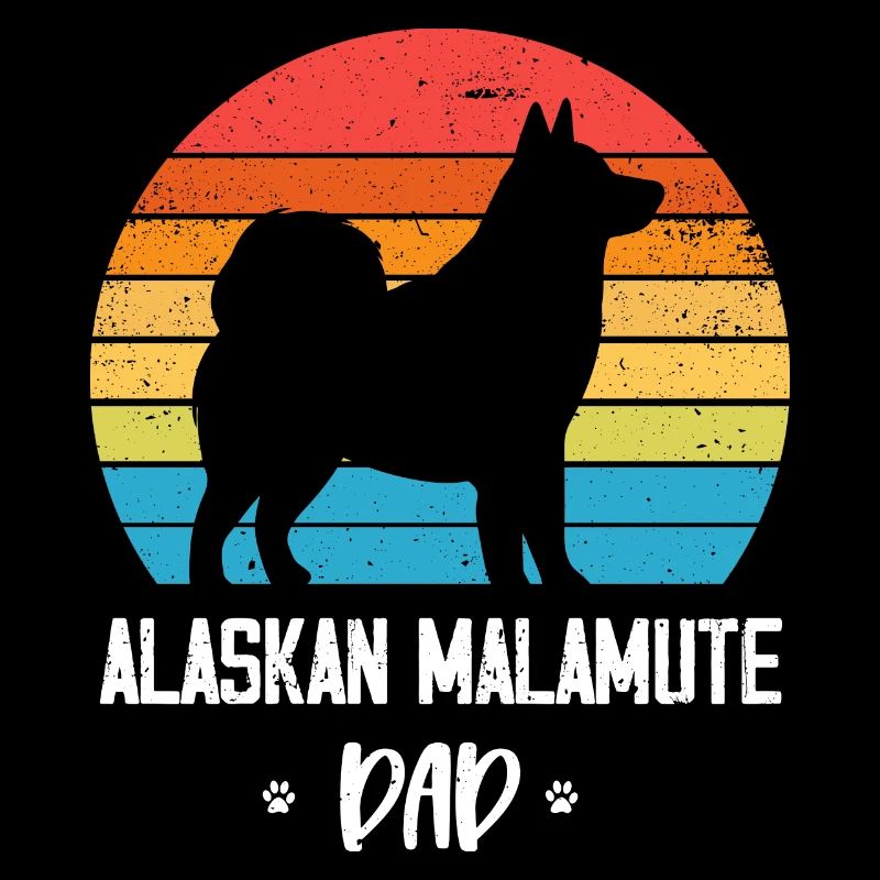 Chien Malamute d’Alaska