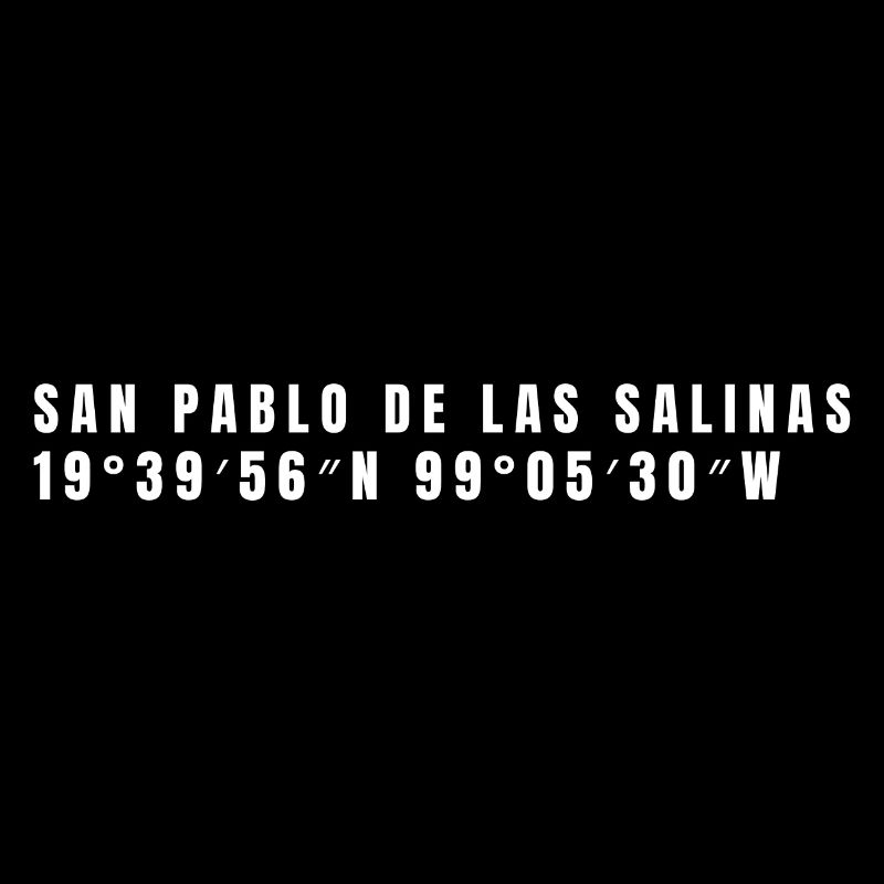 State of Mexico Mexico Coordinates