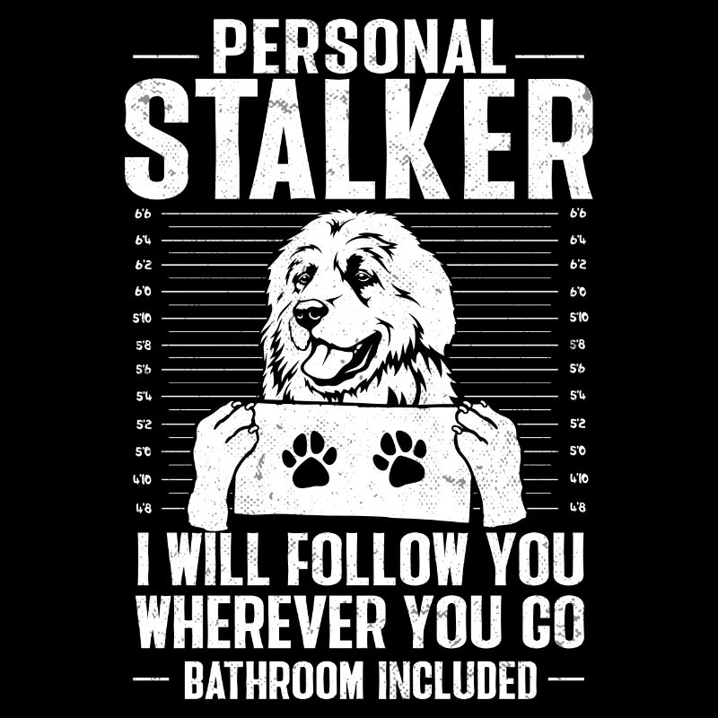 Great Pyrenees Dog Personal Stalker Pyrenees
