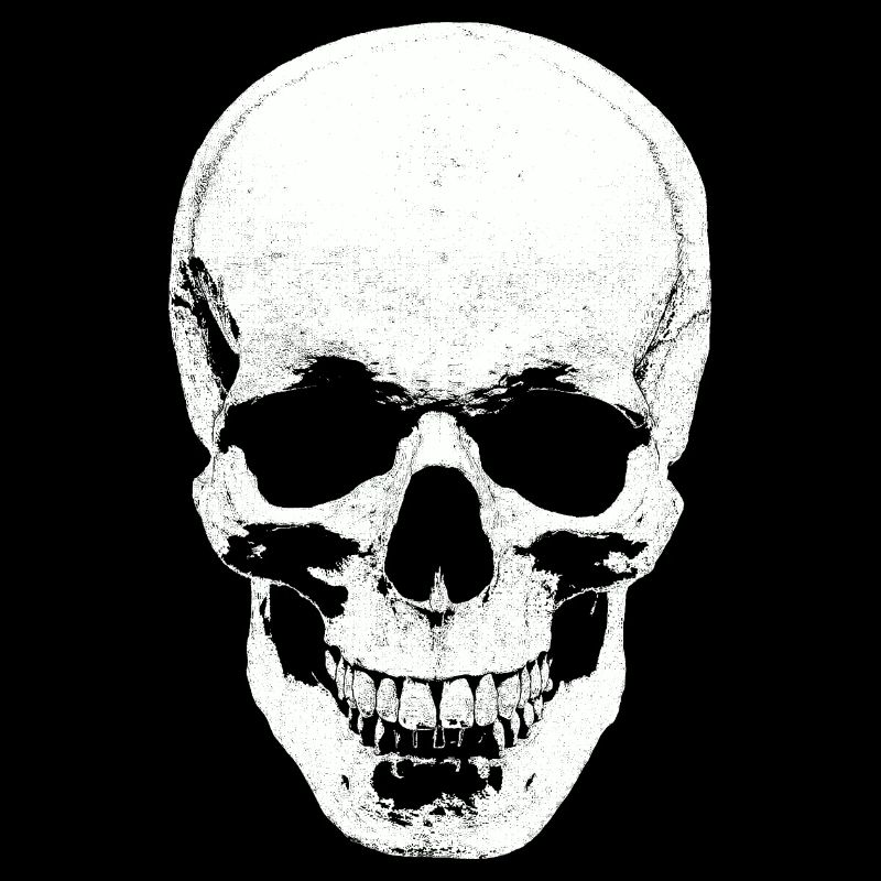 Premium skull