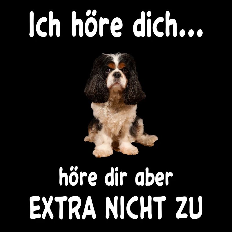 Cavalier King Charles Hund - Cavalier King Charles