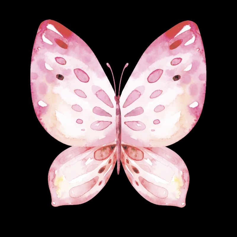 Ailes de papillon Carnaval des papillons Carnaval
