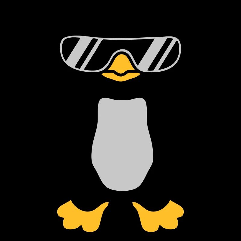 Lunettes de soleil Penguin cool design