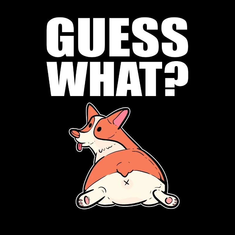 Corgi
