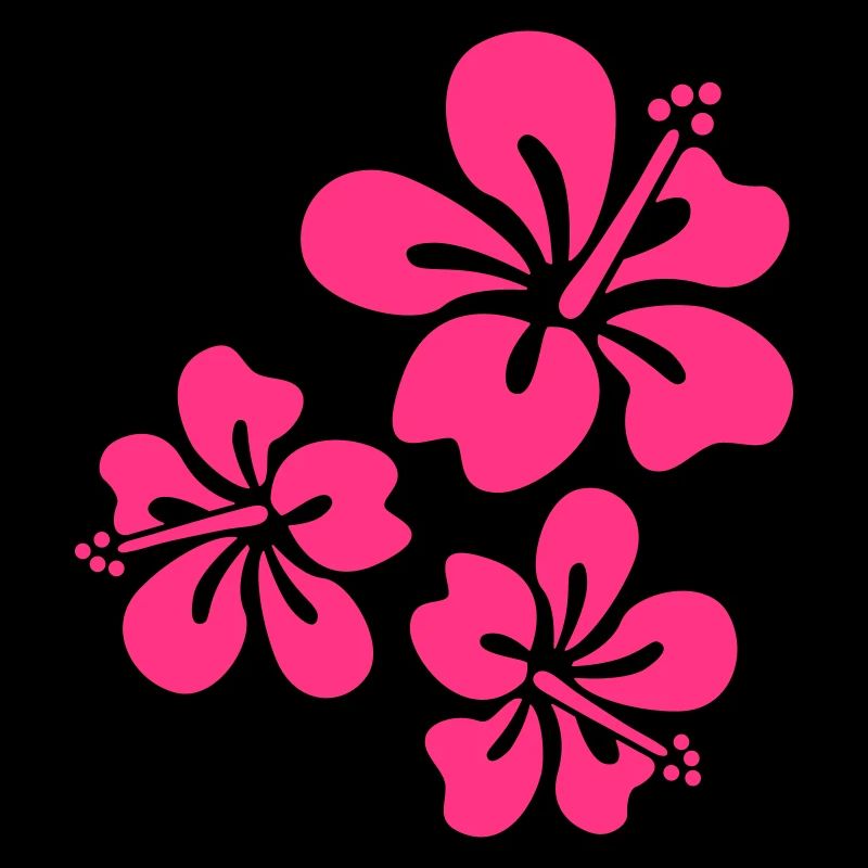 fleurs d'hibiscus d'été