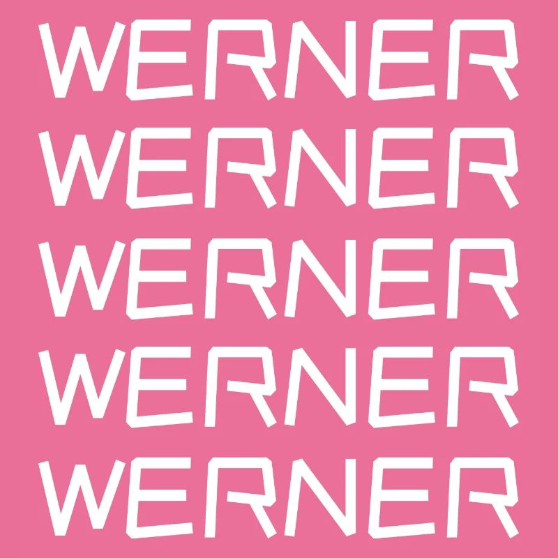Bachelor Werner