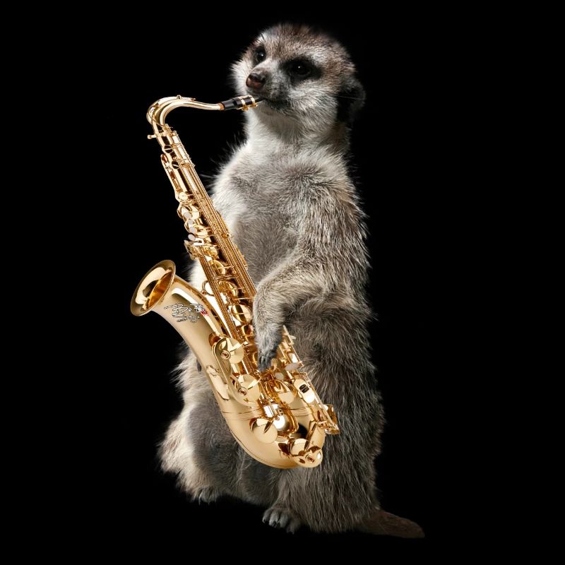 Erdmaennchensax