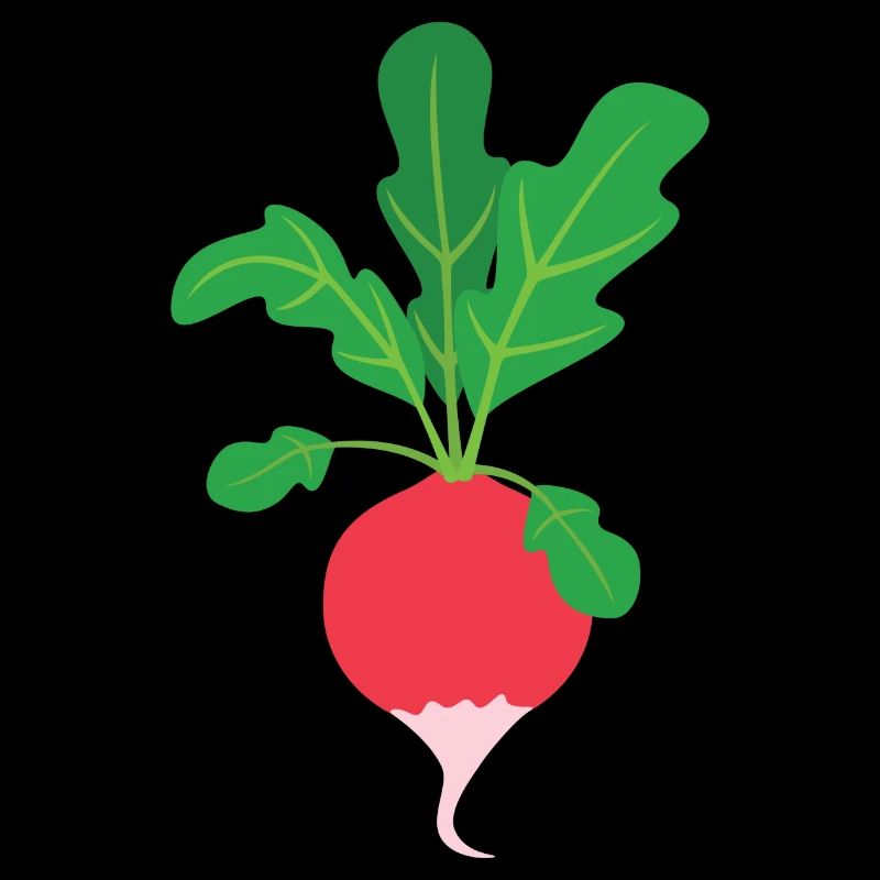 radish