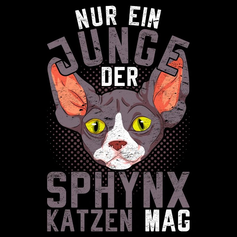 Nur ein Junge der Sphynx Katzen mag Sphynx Katze