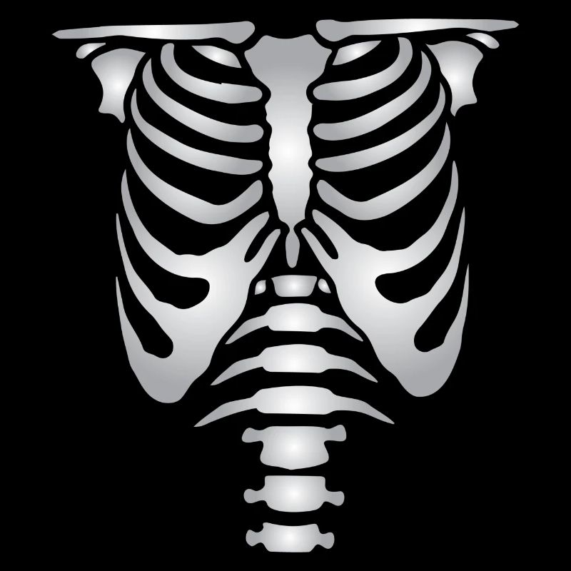 Human skeleton bones torso