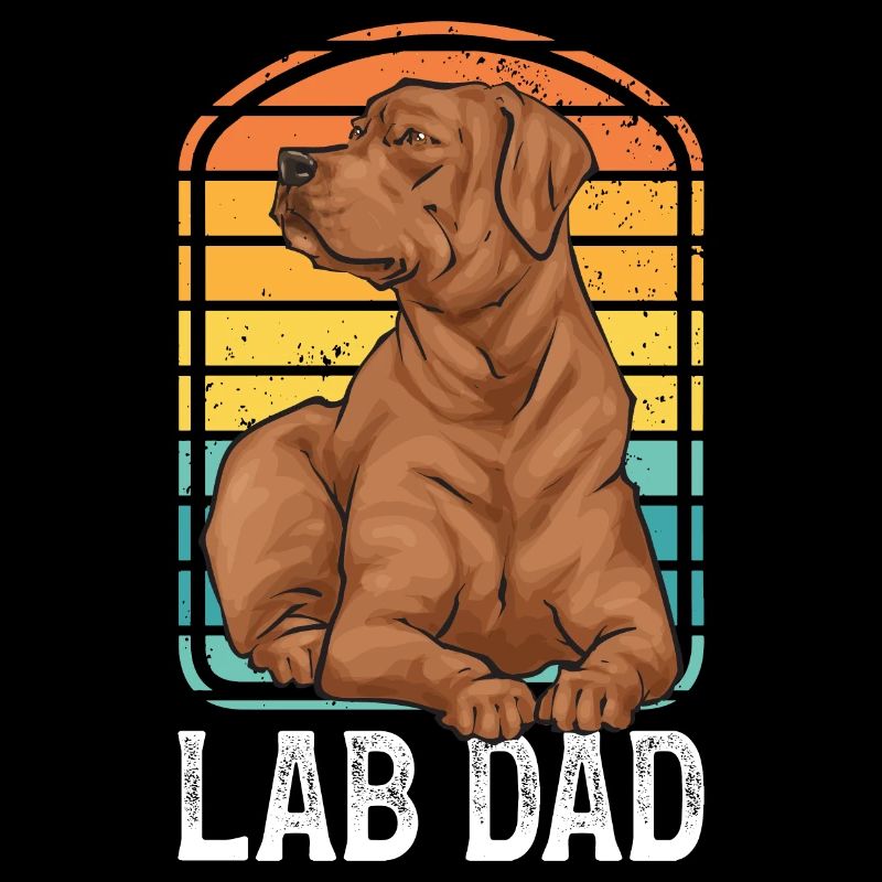 Fuchsroter Labrador Retriever Fox Red Labrador