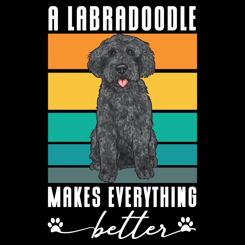 Labradoodle Hund