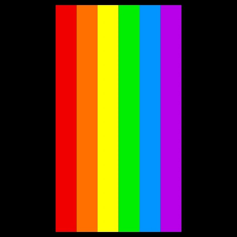 PRIDE RAINBOW REGENBOGEN LGBT FLAGGE FLAG GESCHENK