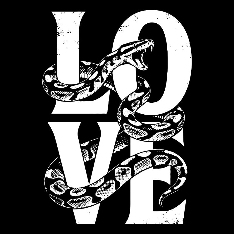 Les serpents rois Python ADORENT les pythons de terrarium