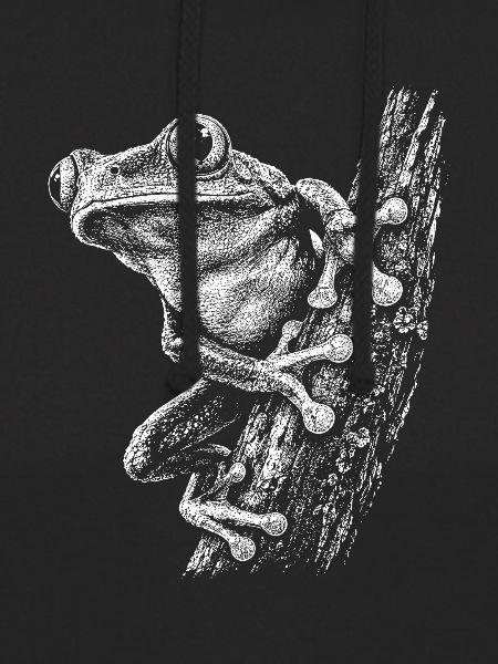 Kleiner Frosch am Ast