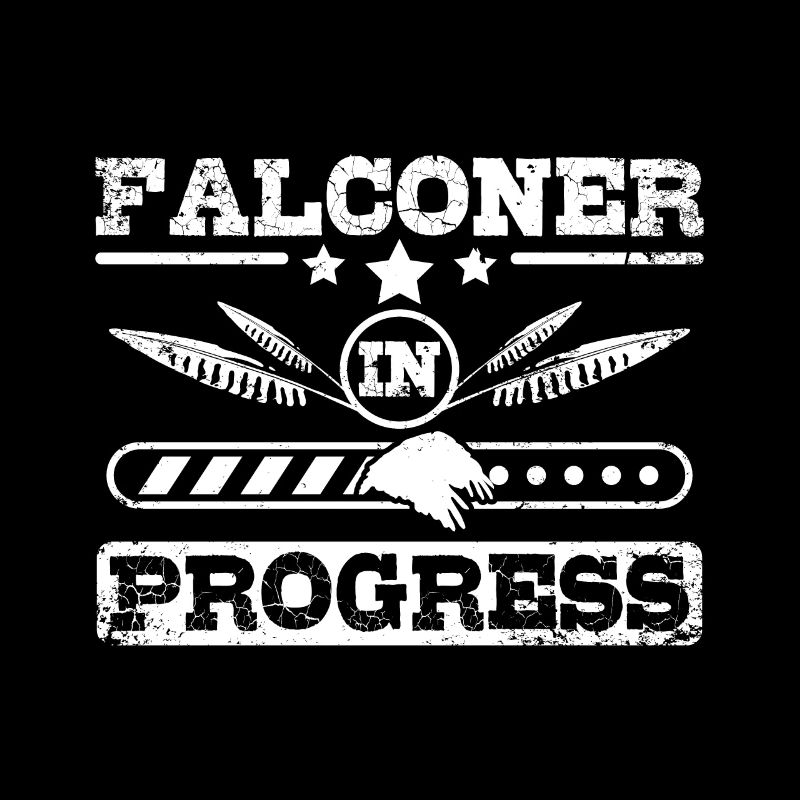 Future Falconer en cours de réalisation