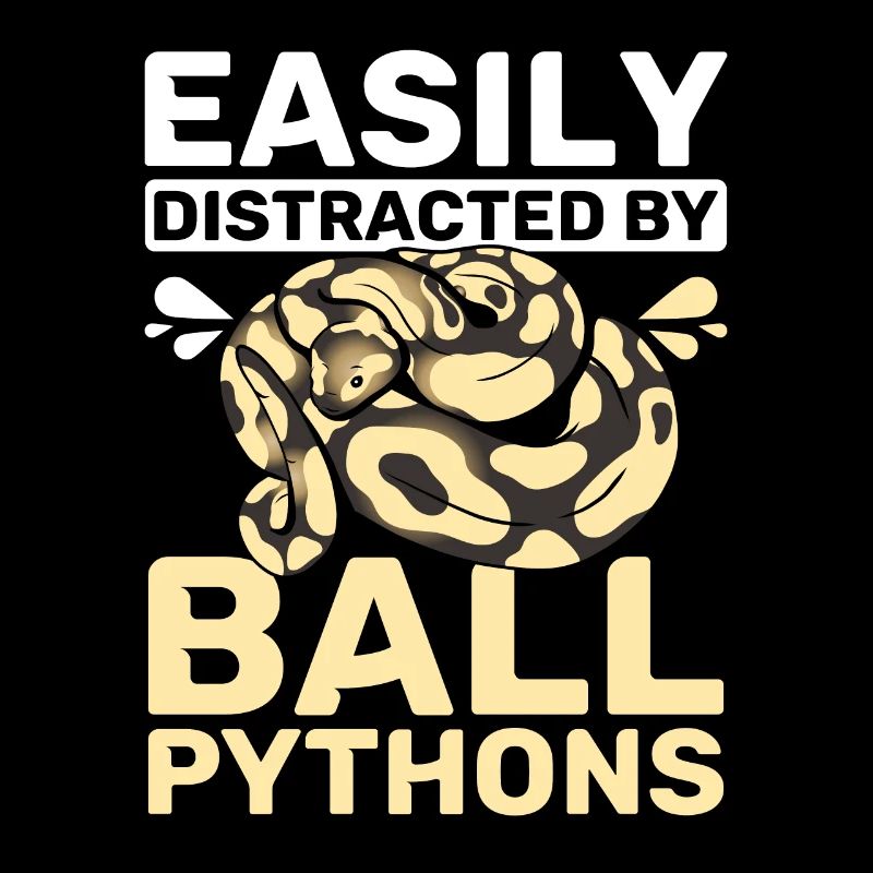 Easily distracted by ball pythons