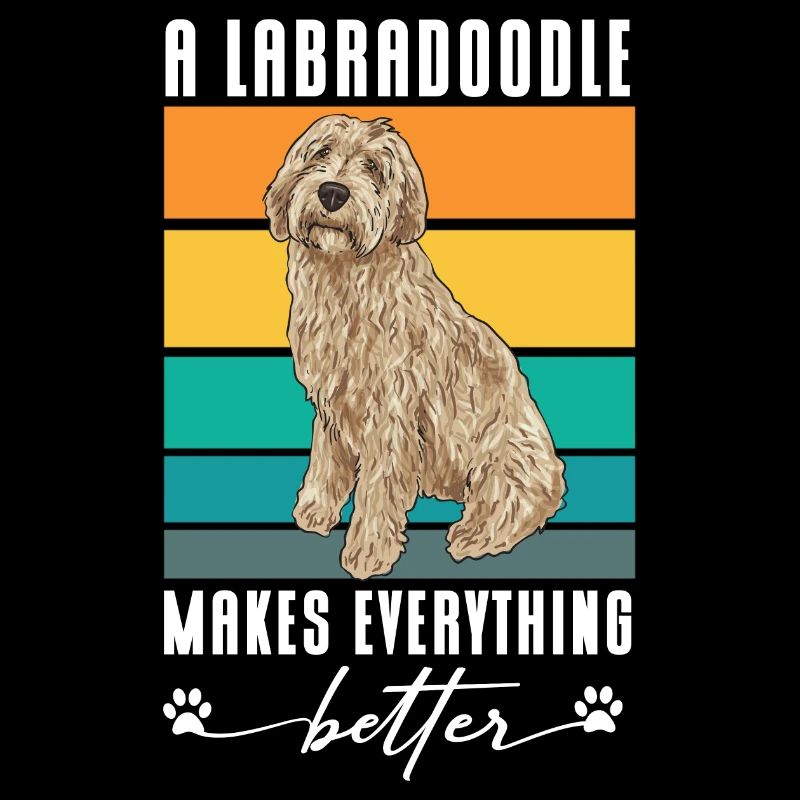 Labradoodle Hund