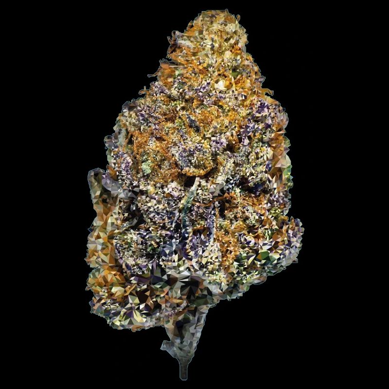 Tête de fleur de cannabis Polygone Design 420/710