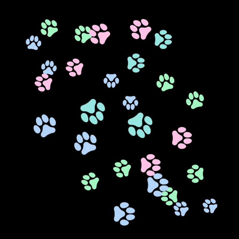 Pattes de chat, patte, pattes, chat