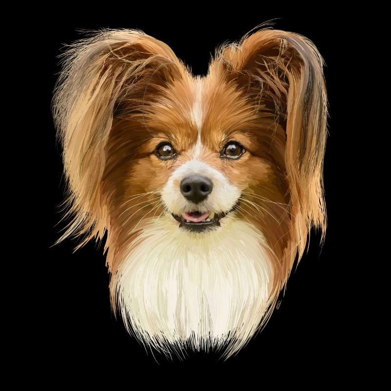 Papillon