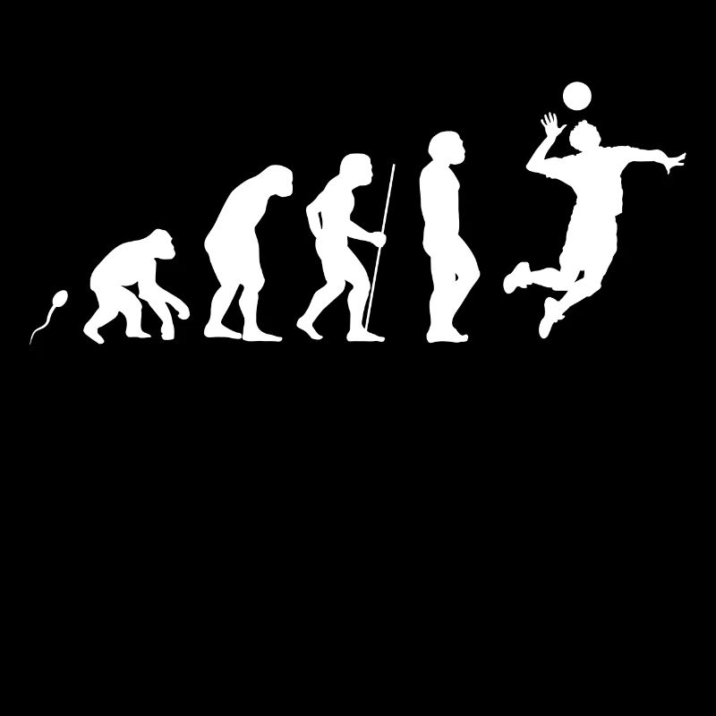 Evolution Volleyball 3