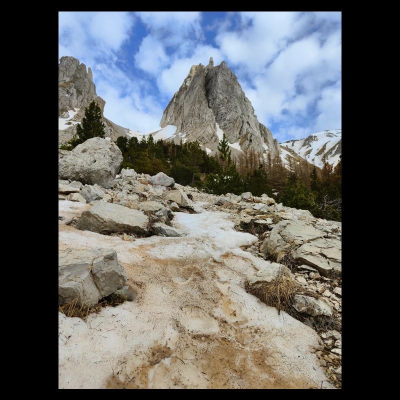 Schneebedeckte Berge